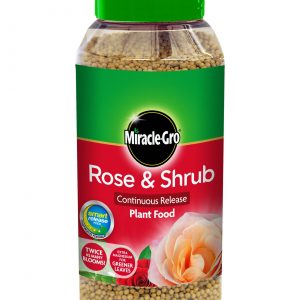 Rose & Shrub slow release jar
