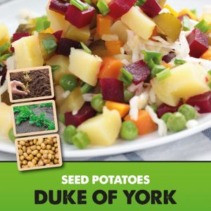 https://davidperrygardens.com/wp-content/uploads/2021/01/Posters-Potatoes-Duke-of-York-300x300.jpg