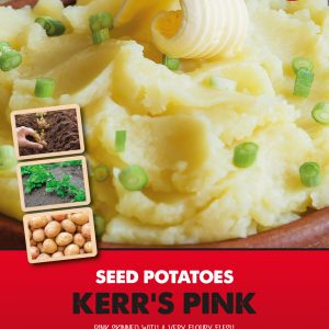 https://davidperrygardens.com/wp-content/uploads/2021/01/Posters-Potatoes-Kerrs-Pink-300x300.jpg