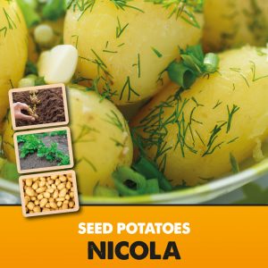 https://davidperrygardens.com/wp-content/uploads/2021/01/Posters-Potatoes-Nicola-300x300.jpg