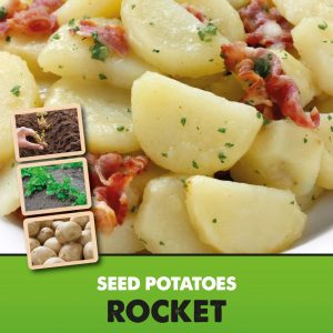 https://davidperrygardens.com/wp-content/uploads/2021/01/Posters-Potatoes-Rocket-300x300.jpg